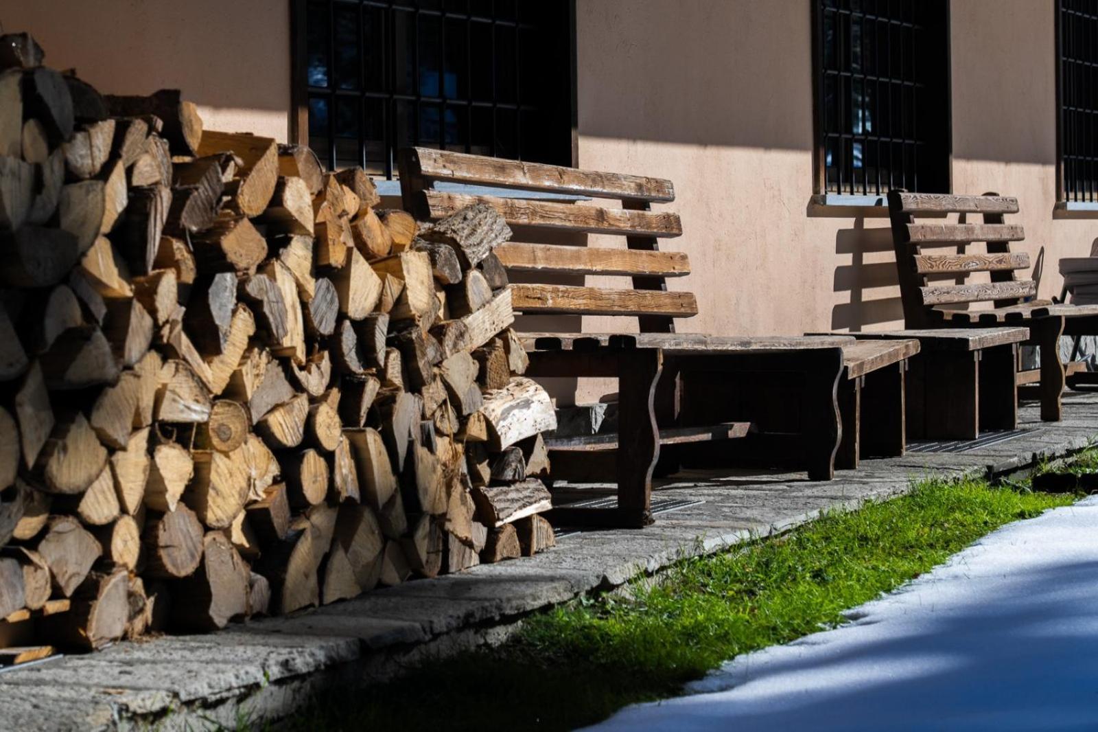 Alpine Forest Hotel Champoluc Bagian luar foto