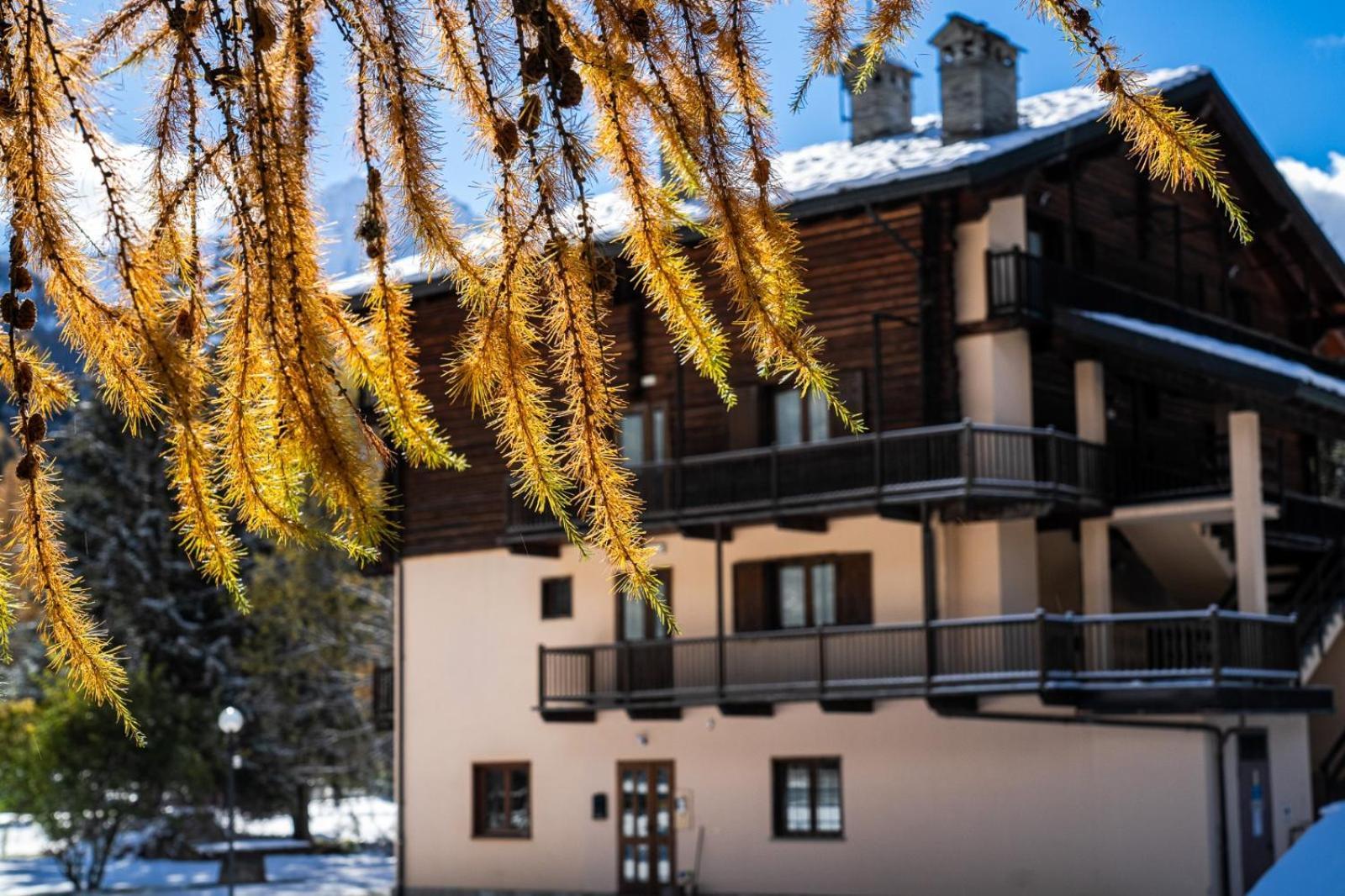 Alpine Forest Hotel Champoluc Bagian luar foto