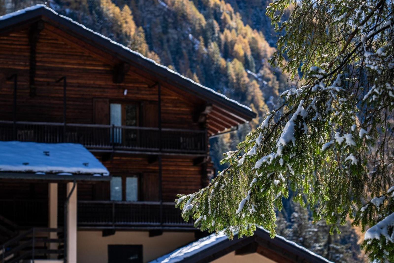 Alpine Forest Hotel Champoluc Bagian luar foto